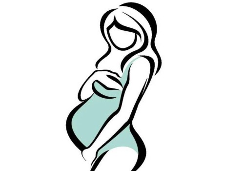 囊胚能分化成兩個胚胎，但幾率一般不高